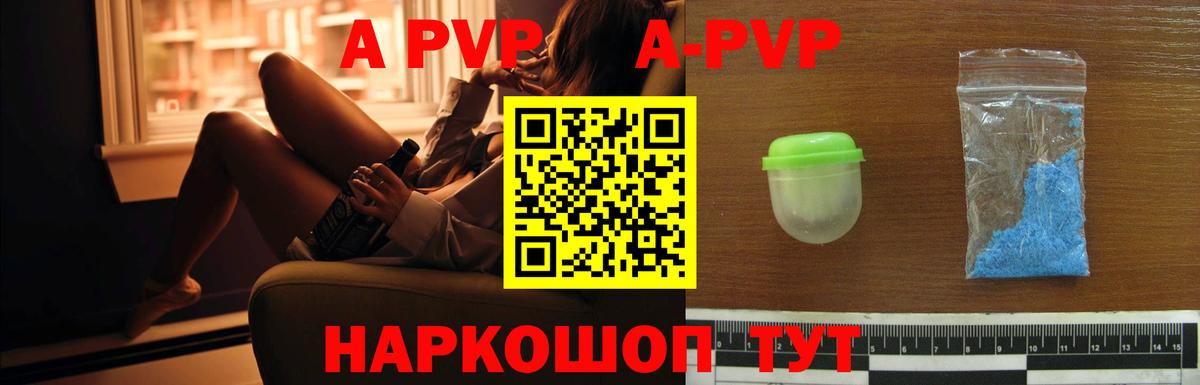 Альфа ПВП СК Ленинск-Кузнецкий
