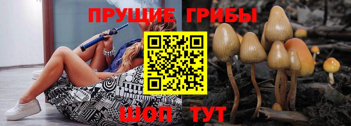 Галлюциногенные грибы прущие грибы  Вход с VPN  Ленинск-Кузнецкий 